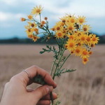 Juliia 899 profile icon