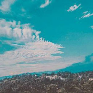 Rita Indriyani profile icon