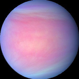 Lestari Ayu Laduni profile icon