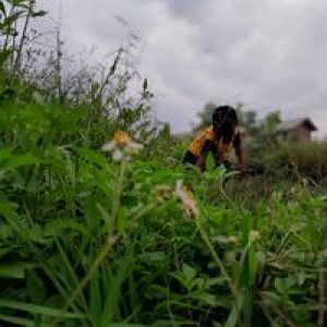 Idha Lestarii profile icon