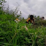 Idha Lestarii profile icon