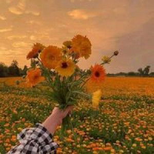 Cha Yong profile icon