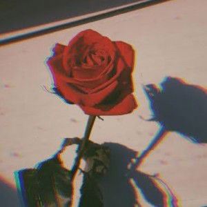 Siti Nuraini profile icon