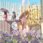 Sareeha Charif profile icon