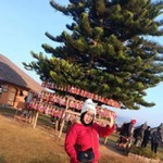 Laila Wichian profile icon