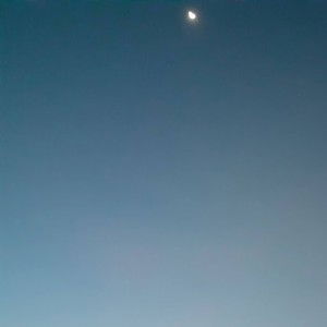 Asyifa Laely profile icon