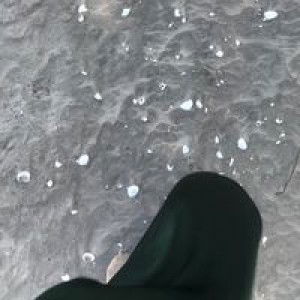 Noor Fanarafi profile icon