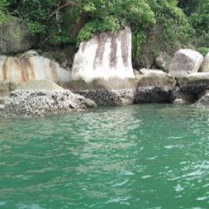 penawar profile icon