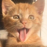 Mayra Armiantyara profile icon