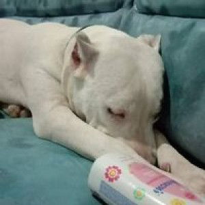 เลขา ตัวกลม profile icon