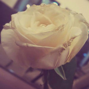 barly siregar profile icon