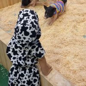 ณัฐธยาน์ เย็นประเสริฐ profile icon