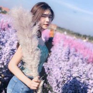 Nam Saithan profile icon