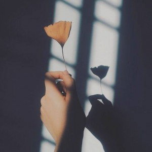 Novia K profile icon