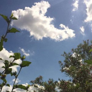 Fatimah Zou profile icon