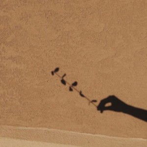 nissa nurpus profile icon