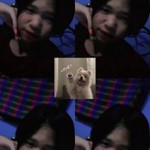 นอ วอ. profile icon