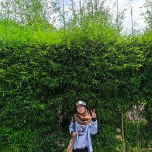 Nila Khoirun Naili profile icon