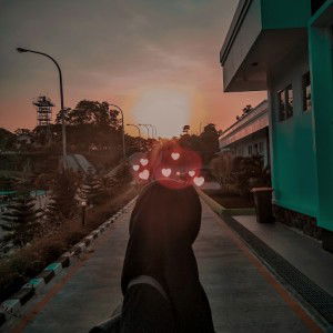 Aulia Safitri profile icon