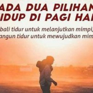 Evaa Candra profile icon