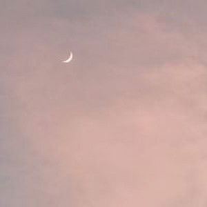 Kristine Fortin Dabucon profile icon