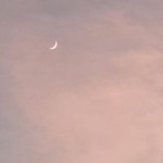 Kristine Fortin Dabucon profile icon