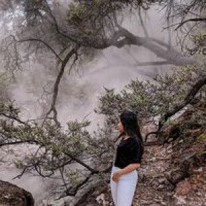 Novia dea profile icon