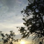 ลาน ตูน. profile icon