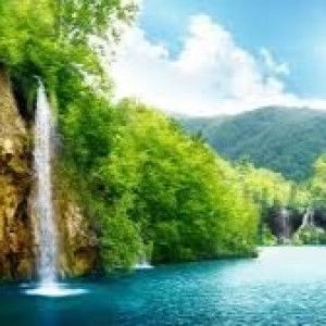 Sabila Medina profile icon