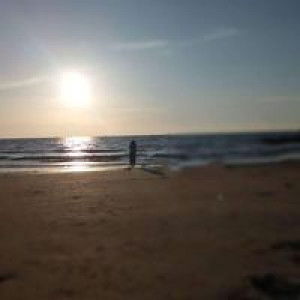 Shery Elly profile icon