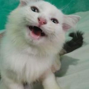 Yvette Christian profile icon