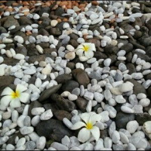 Haluatai Nuanil profile icon