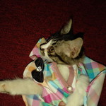 Nor madihahh Mazlan profile icon