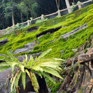 Baby Angela profile icon