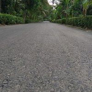 Mei Daa profile icon