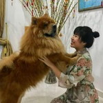 Jane Lee profile icon