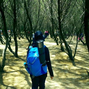 efria ulfiana profile icon