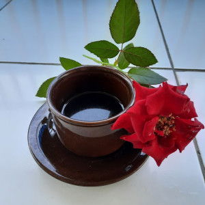 aghitsna as_saadah profile icon