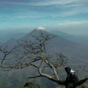 kiki yanua tantri profile icon