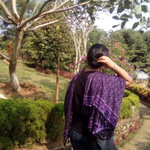 Annelise Tobing profile icon