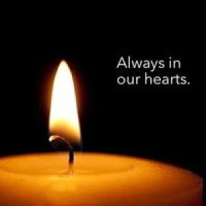 Anna Laine General profile icon