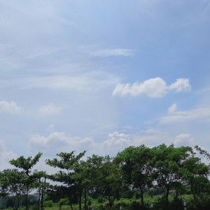 Elf Meta profile icon