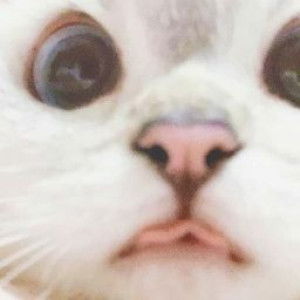 Noor Hamiza profile icon