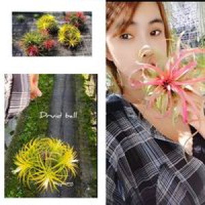 พลอยแสง กำไรเงิน profile icon