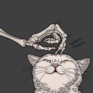 Karmilala Jackson profile icon