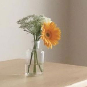 Sunny Lou profile icon