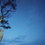 Desta Novia profile icon