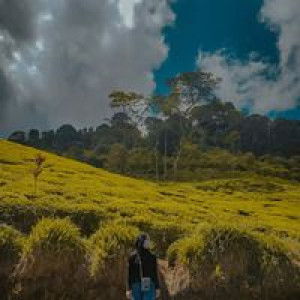 Neng Laiha Siti Nurresti profile icon