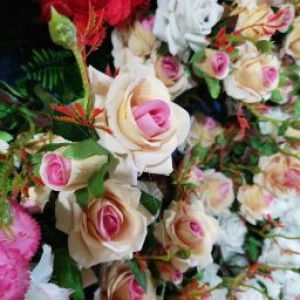 Mom baby A (Insya Allah) profile icon