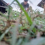 Mueamad Kolil Kolil profile icon